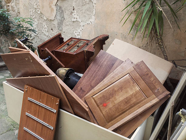 Best Yard Cleanup Services  in East Bethel, MN